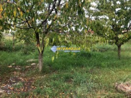 de-vanzare-775-mp-teren-intravilan-ingarduit-cu-apa-si-curent-in-fata-zona-alba-micesti-partea-dreapta-7